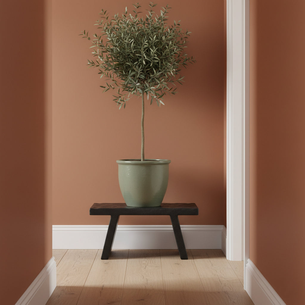 Mangohouten Kruk Zwart